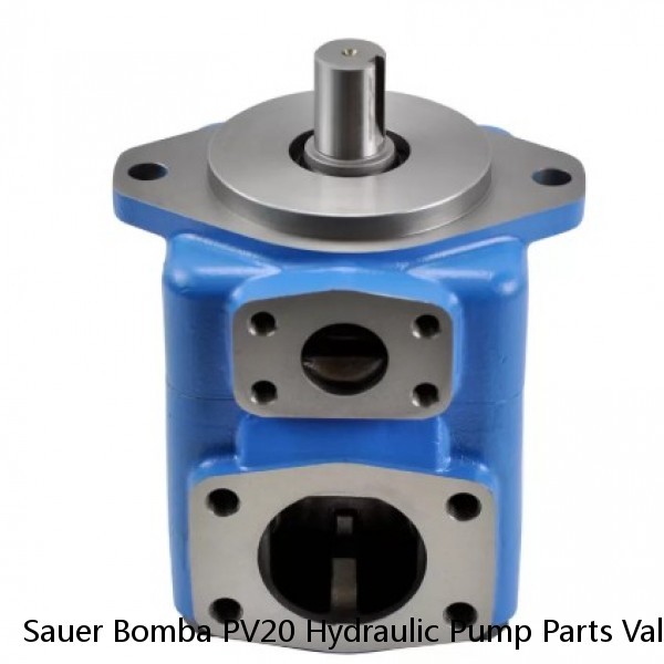 Sauer Bomba PV20 Hydraulic Pump Parts Valve Plate,Cylinder Block,Piston,Retainer Plate