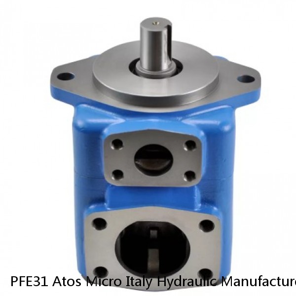 PFE31 Atos Micro Italy Hydraulic Manufacturer Sliding Vane Pump #1 small image